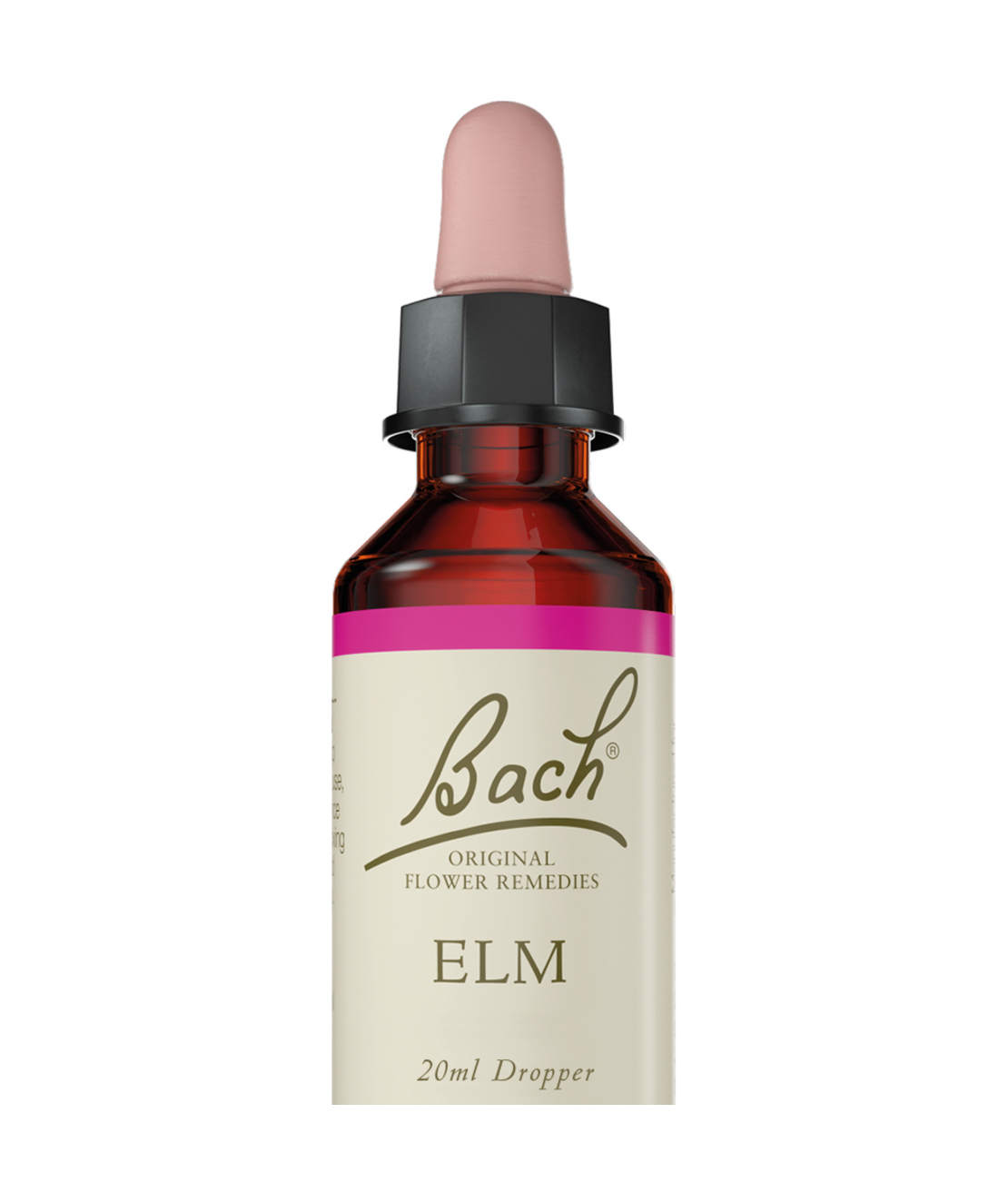 באך - תמצית אלם מס' 11 Bach Elm