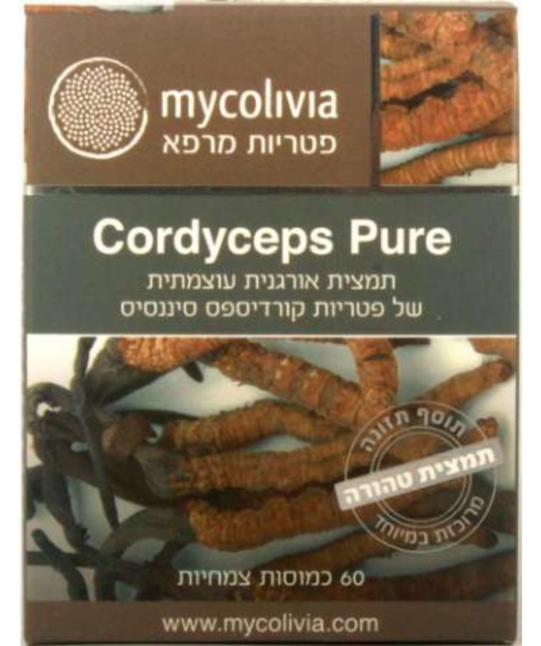 קורדיספס פיור - פטריית הקורדיספס Cordyceps Pure
