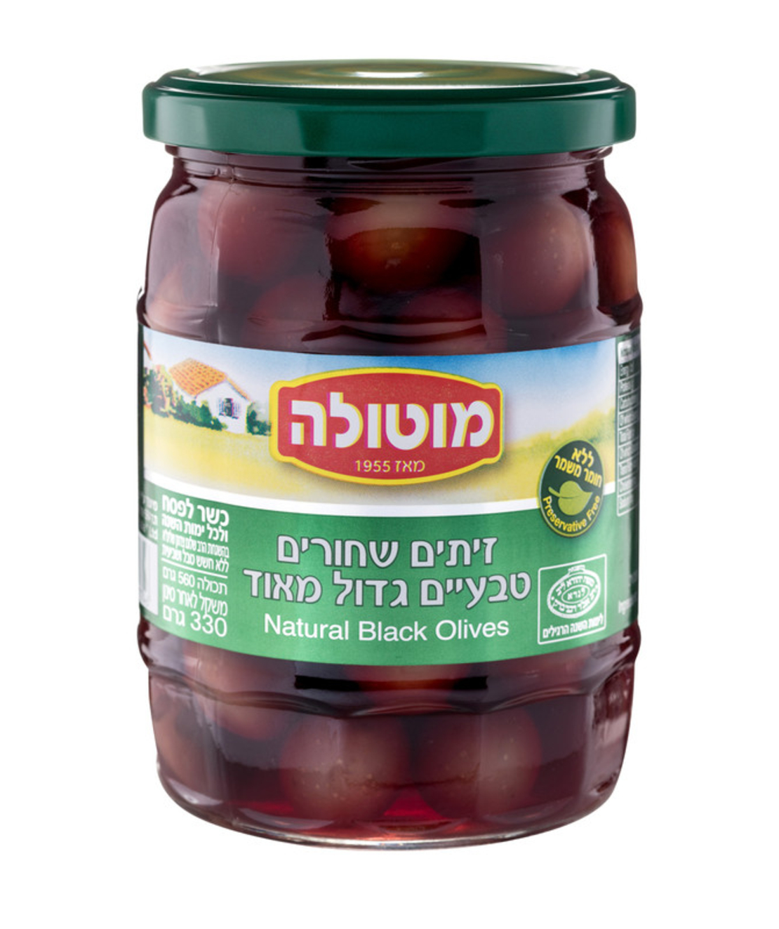 מוטולה צנצנת זיתים שחורים 17/19 – 560 גרם × 12 יחידות (מארז)