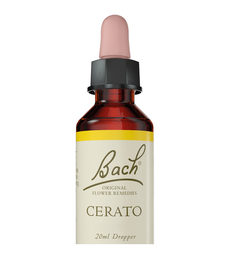באך - תמצית סרטו מס' 5 Bach Cerato