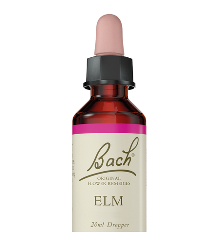 באך - תמצית אלם מס' 11 Bach Elm