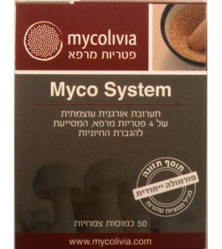 מיקו סיסטם - שילוב פטריות מרפא Myco System