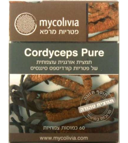 קורדיספס פיור - פטריית הקורדיספס Cordyceps Pure