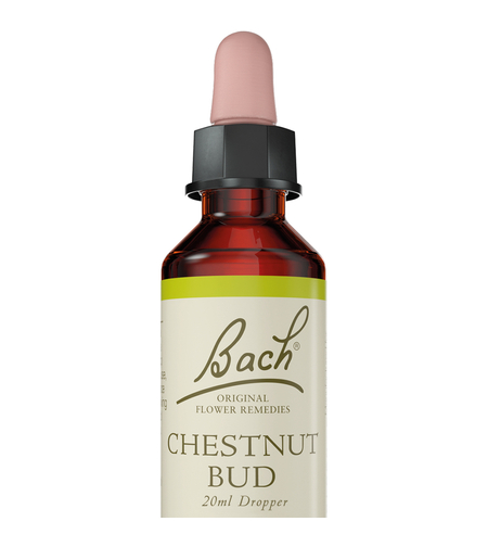באך - תמצית צ'סטנאט באד מס' 7 Bach Chestnut Bud