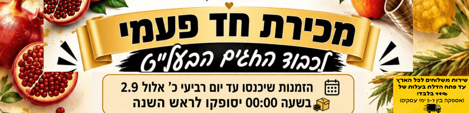 מכירת חד פעמי לחגים