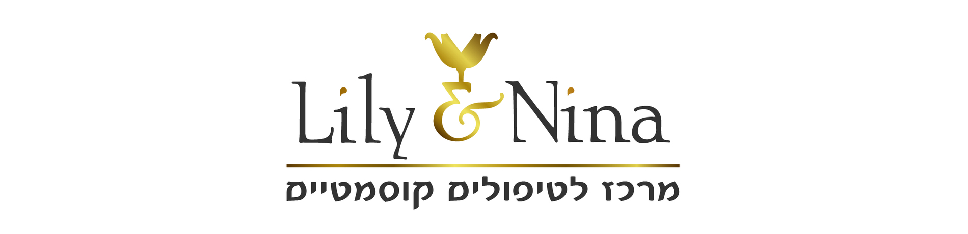 כותרת