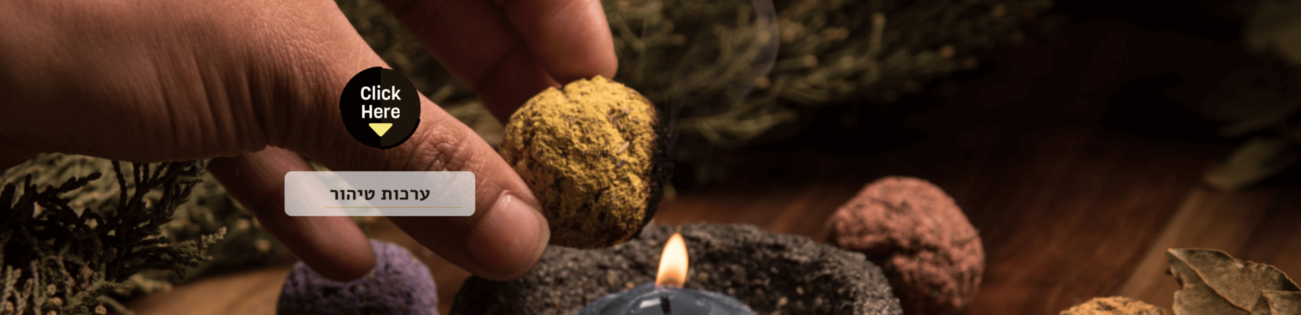 ערכות טיהור