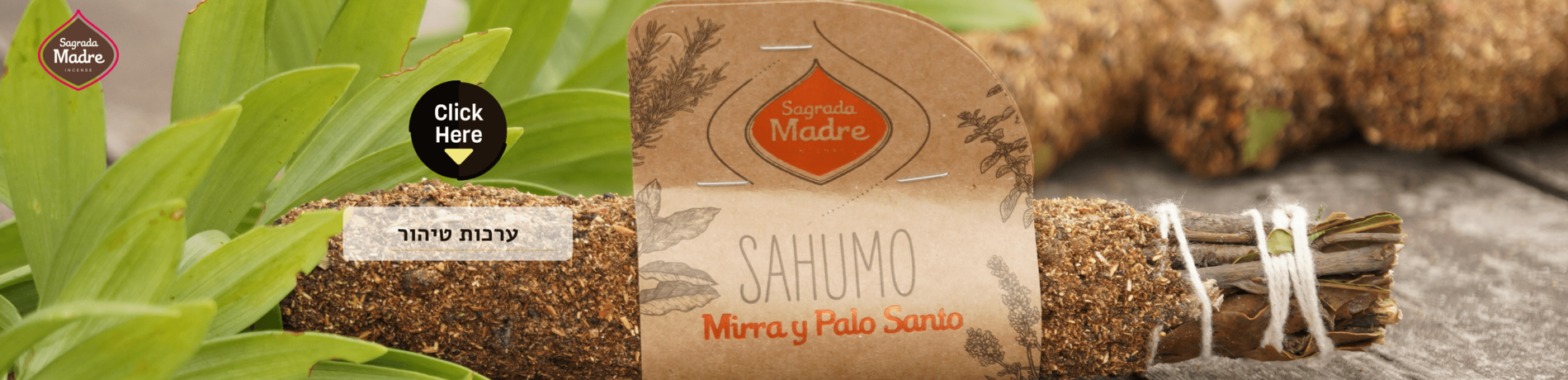 ערכות טיהור