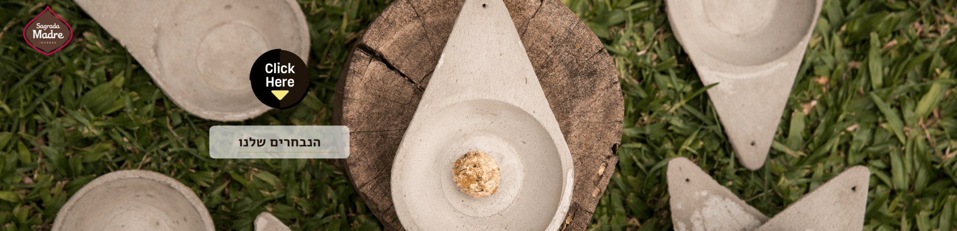 הנבחרים שלנו