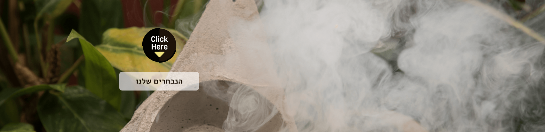 הנבחרים שלנו