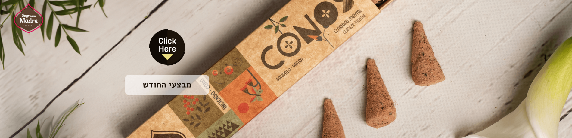 מבצעי החודש