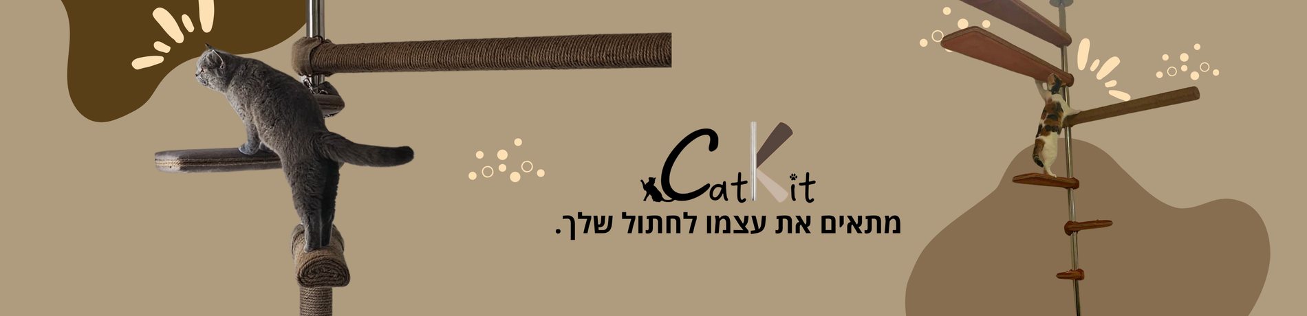 מתאים את עצמו לחתול