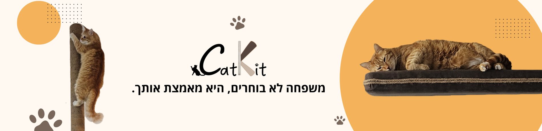 משפחה לא בוחרים - היא מאמצת אותך