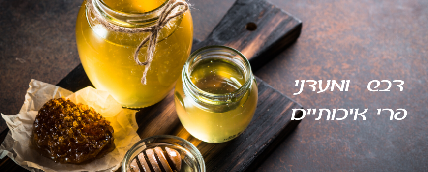 דבש , סירופים ומעדני פרי