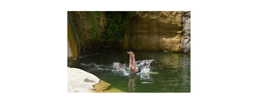 טיולי קיץ 2021