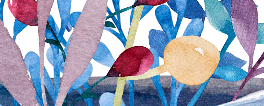 Garden and yard accessories