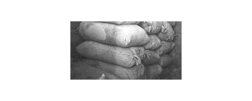 קמחים- (דוקט)ዱቄት