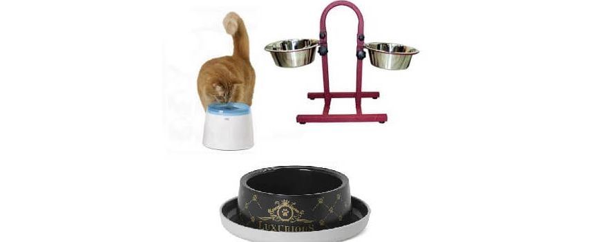 כלי אוכל ושתייה לחתולים
