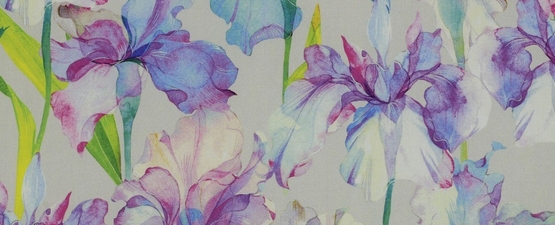 מה חדש אצלנו