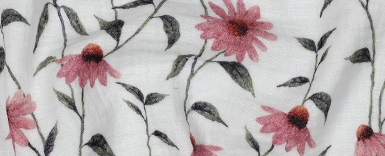 מה חדש אצלנו