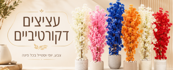 עציצים דקורטיביים