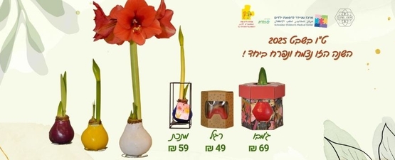 מארזי שי פורחים לט״ו בשבט