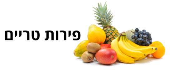 פירות טריים