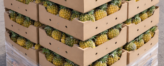 קרטונים במחיר מוזל