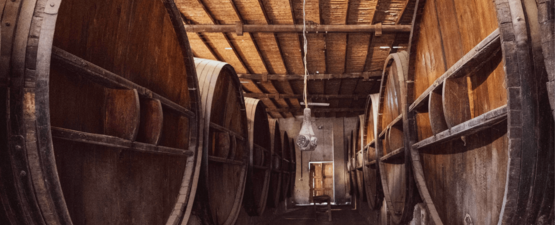 יינות בוטיק