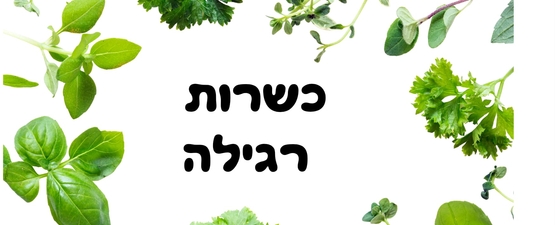 עשבי תיבול וירוקים כשרות רגילה