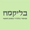 מותגים