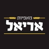 מותגים