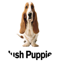 Hush Puppies | האש פפיס