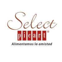 סלקט - Select