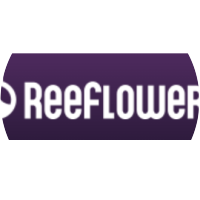 ריף פלאוורס - Reef Flowers
