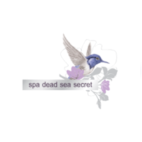 SPA DEAD SEA SECRET