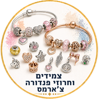 צמידים וחרוזי פנדורה צ׳ארמס