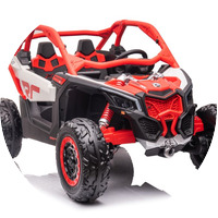 באגי / RZR / CAN AM