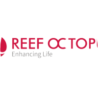 ריף אוקטופוס - REEF OCTOPUS