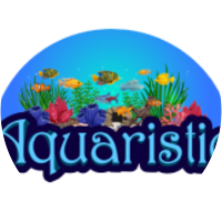 אקווריסטיק - Aquaristic